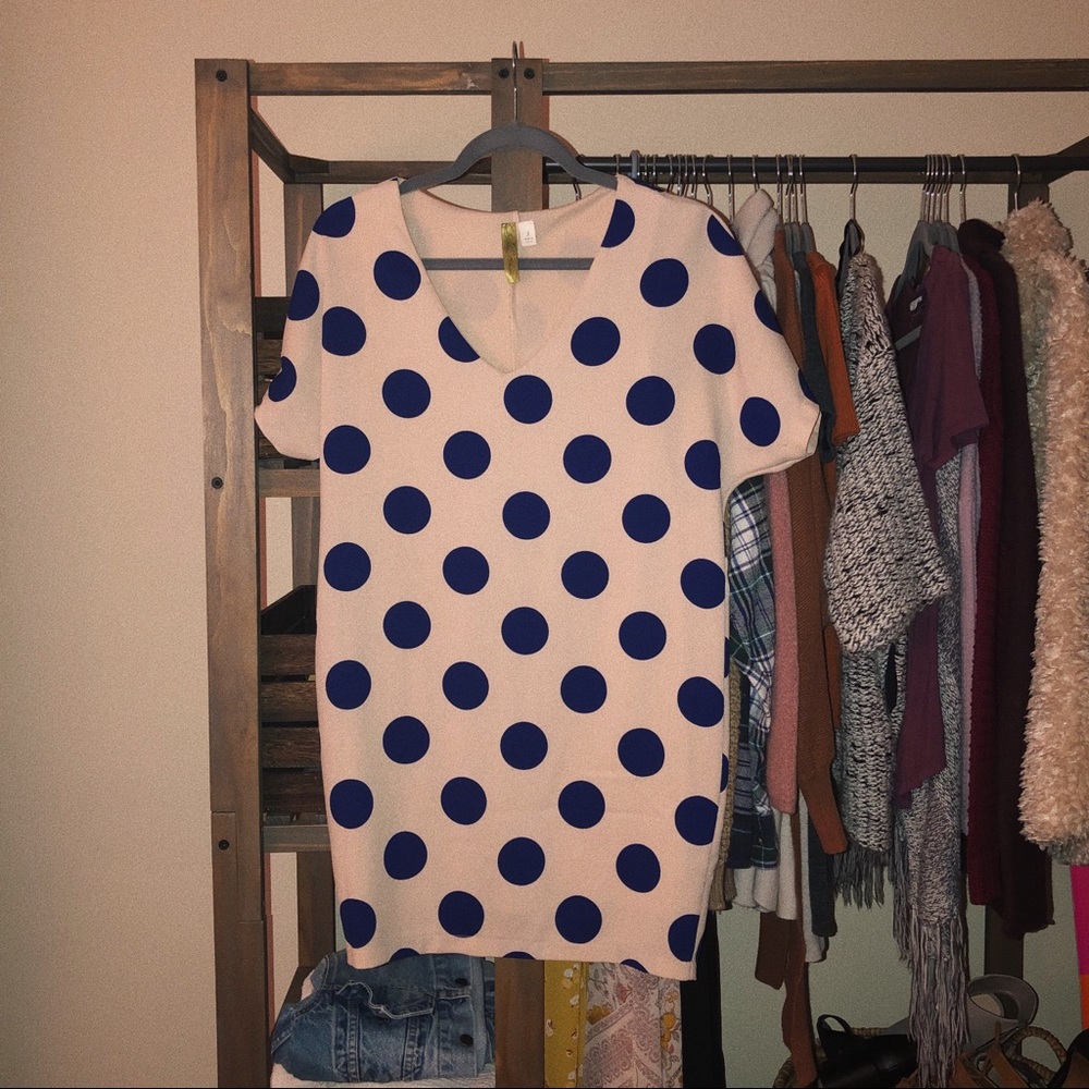 ❌SOLD❌ Francesca’s Shift Dress (S)